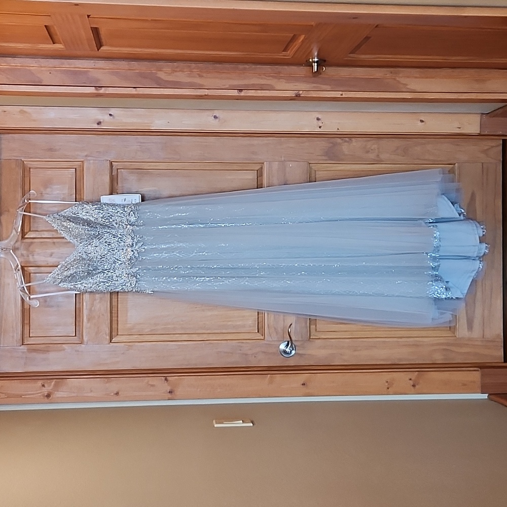 Alyce Paris Silver Formal Dress - Picture 13 of 14